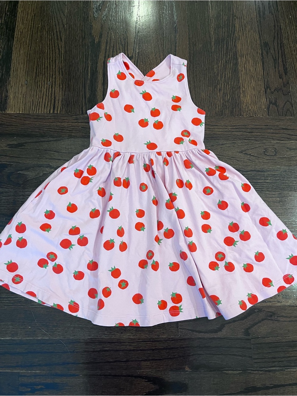 Hanna Andersson Pink Dress with Red Tomato Print